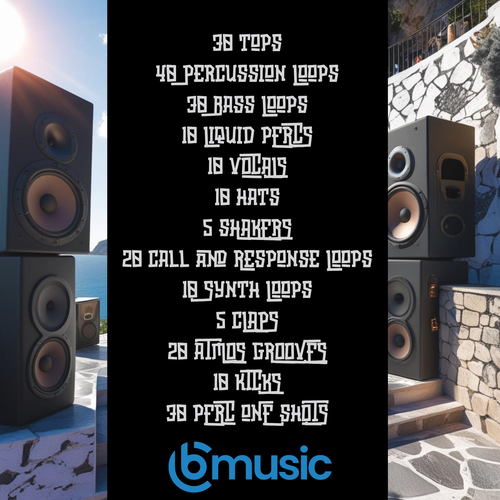 Bounce And Groove 2