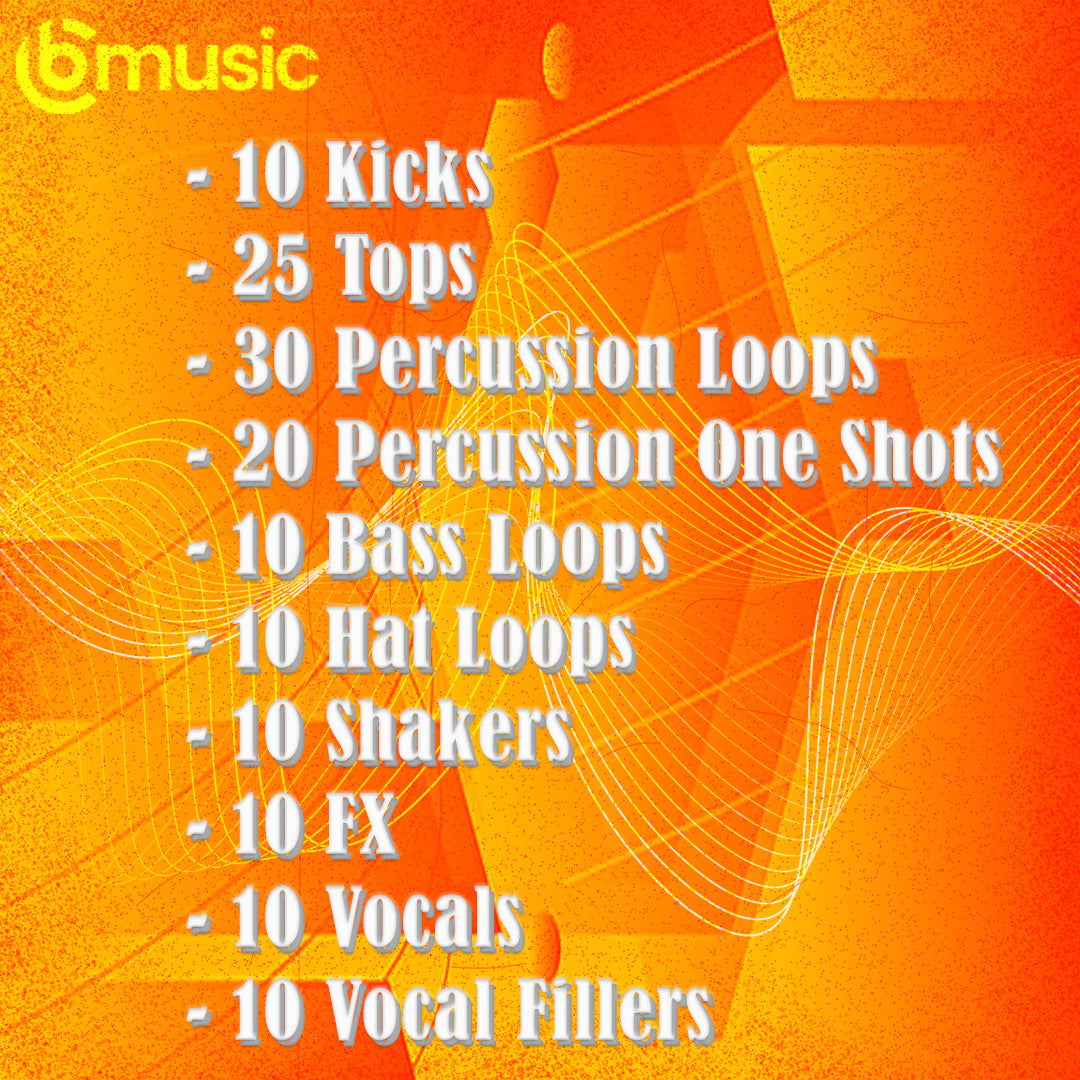 South American Vibes